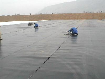 PE價格與PE批發 土工膜供應鏈解析——第6頁導讀